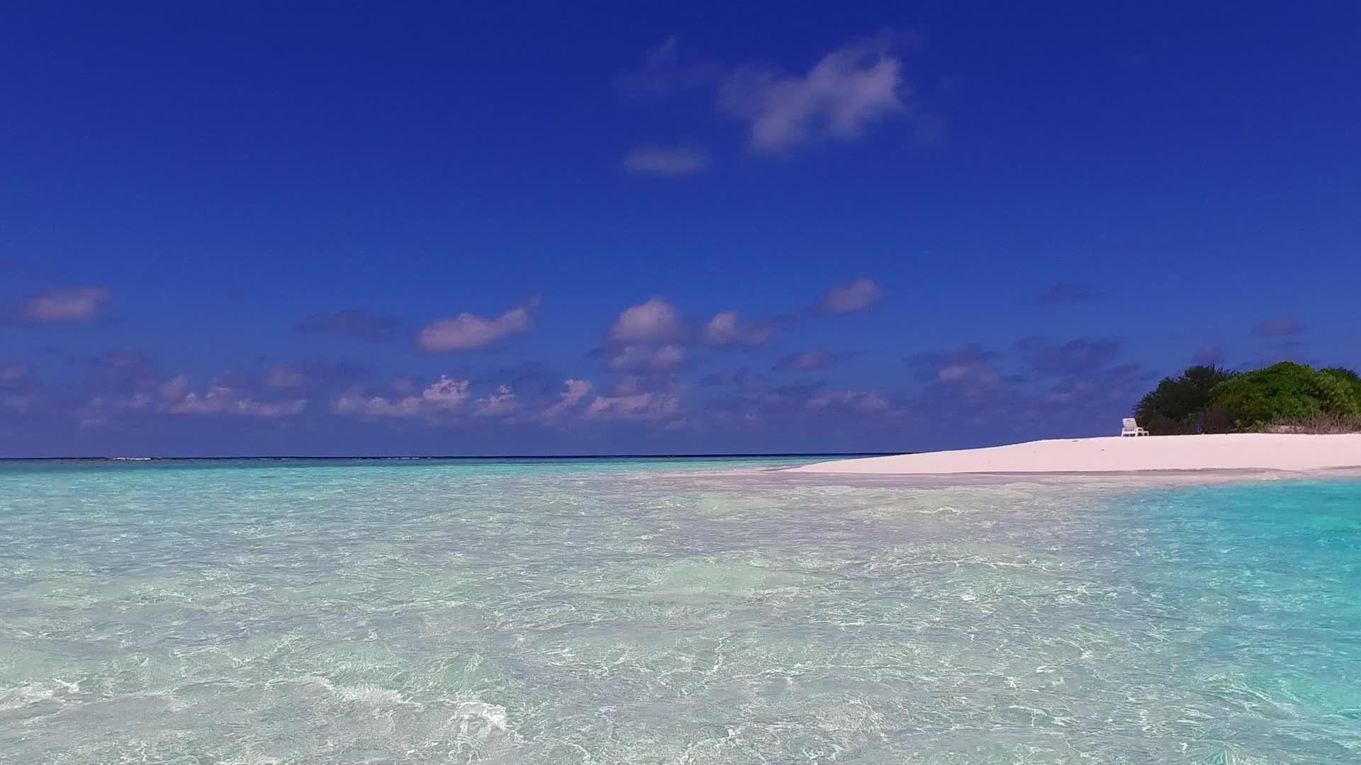 沙洲附近的白沙背景透明的海洋田园诗般的旅游海滩野生动物视频的预览图