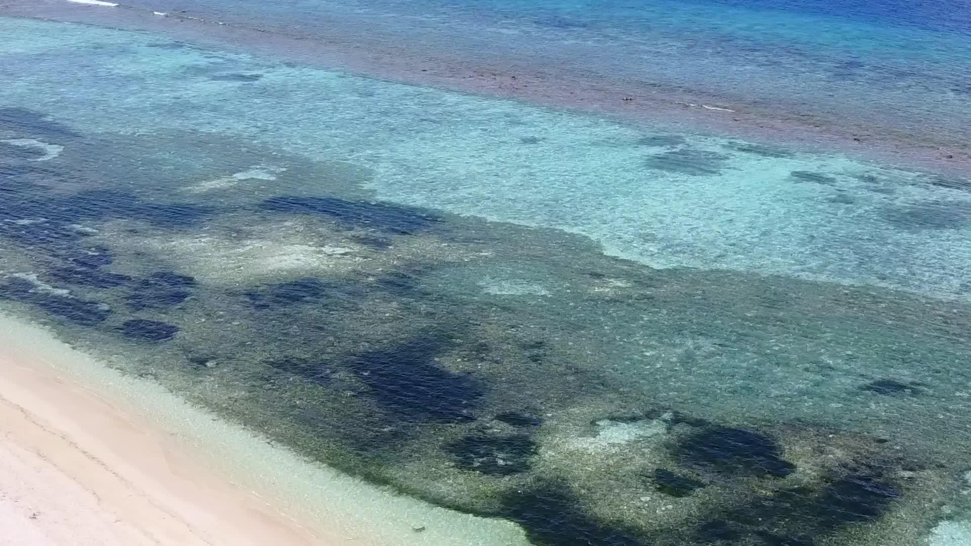 外来海湾海滩上的野生动物经过浅海珊瑚礁附近有白色的沙子背景视频的预览图