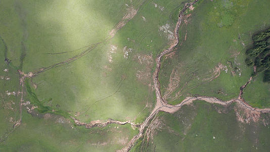 新疆天山高山草原航拍视频的预览图