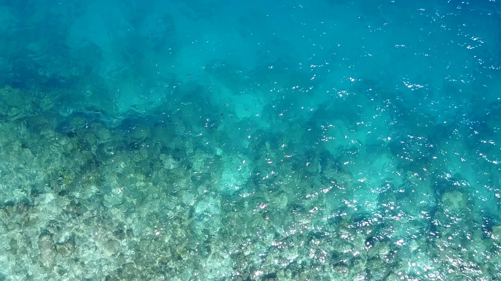 蓝海热带海滩度假日景观靠近白沙珊瑚礁视频的预览图