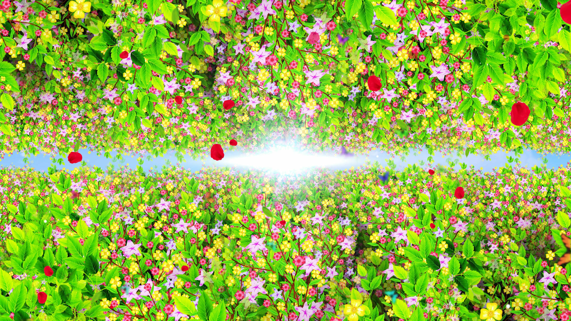 4K唯美的花卉背景素材视频的预览图