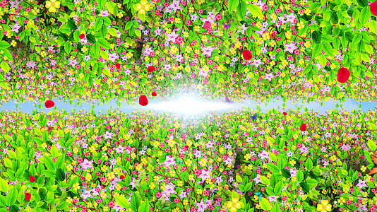 4K唯美的花卉背景素材视频的预览图