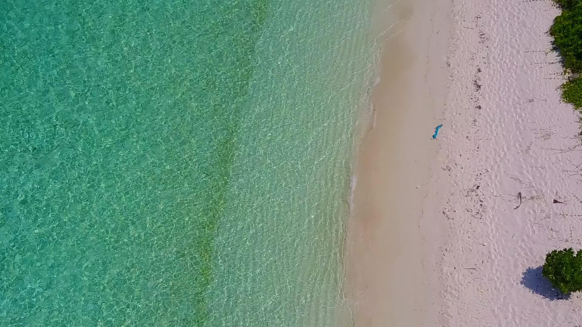 美丽海滩的海景视频的预览图
