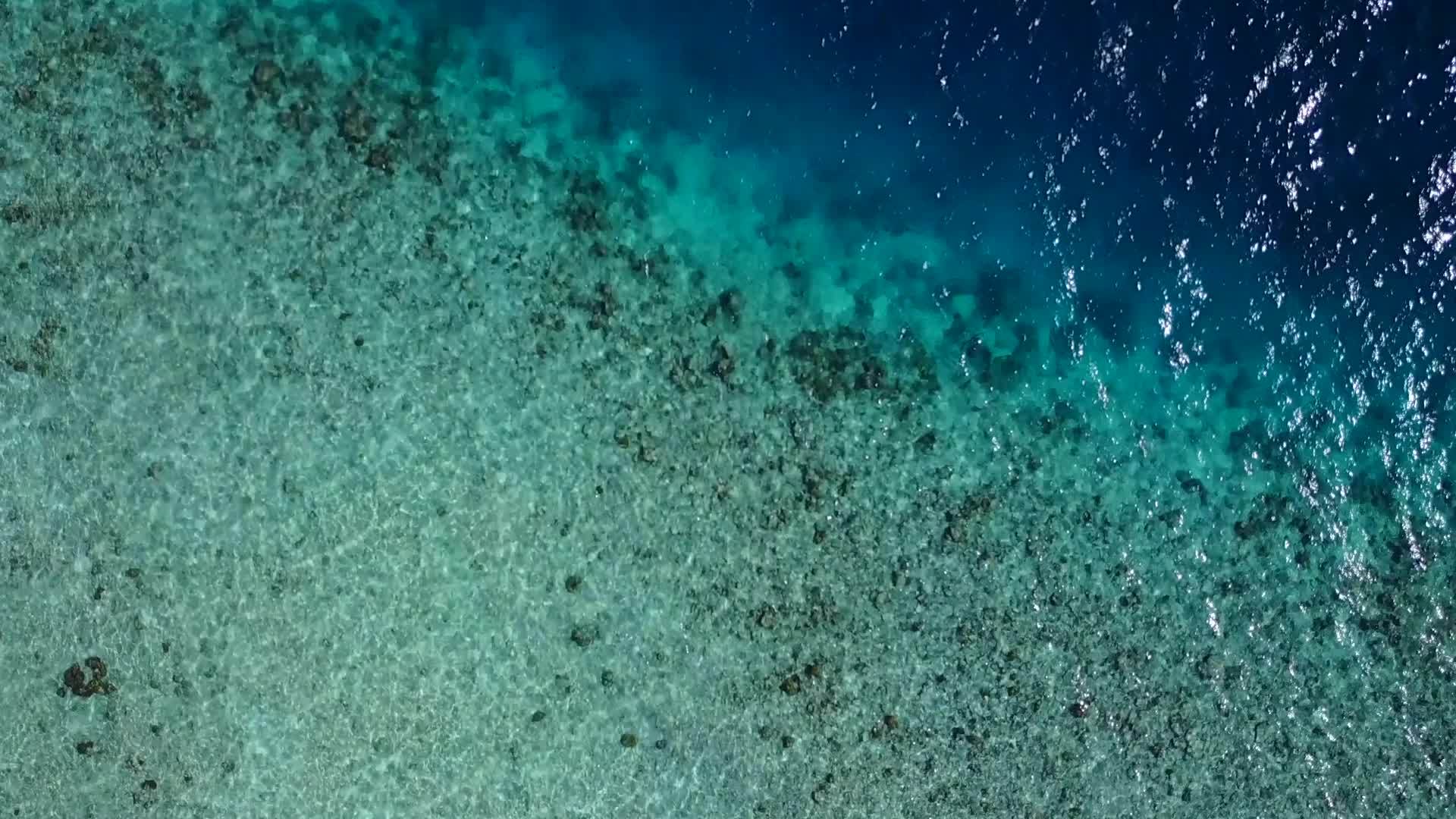 阳光明媚的天堂环礁湖海滩沿着蓝海和珊瑚礁附近的白沙视频的预览图