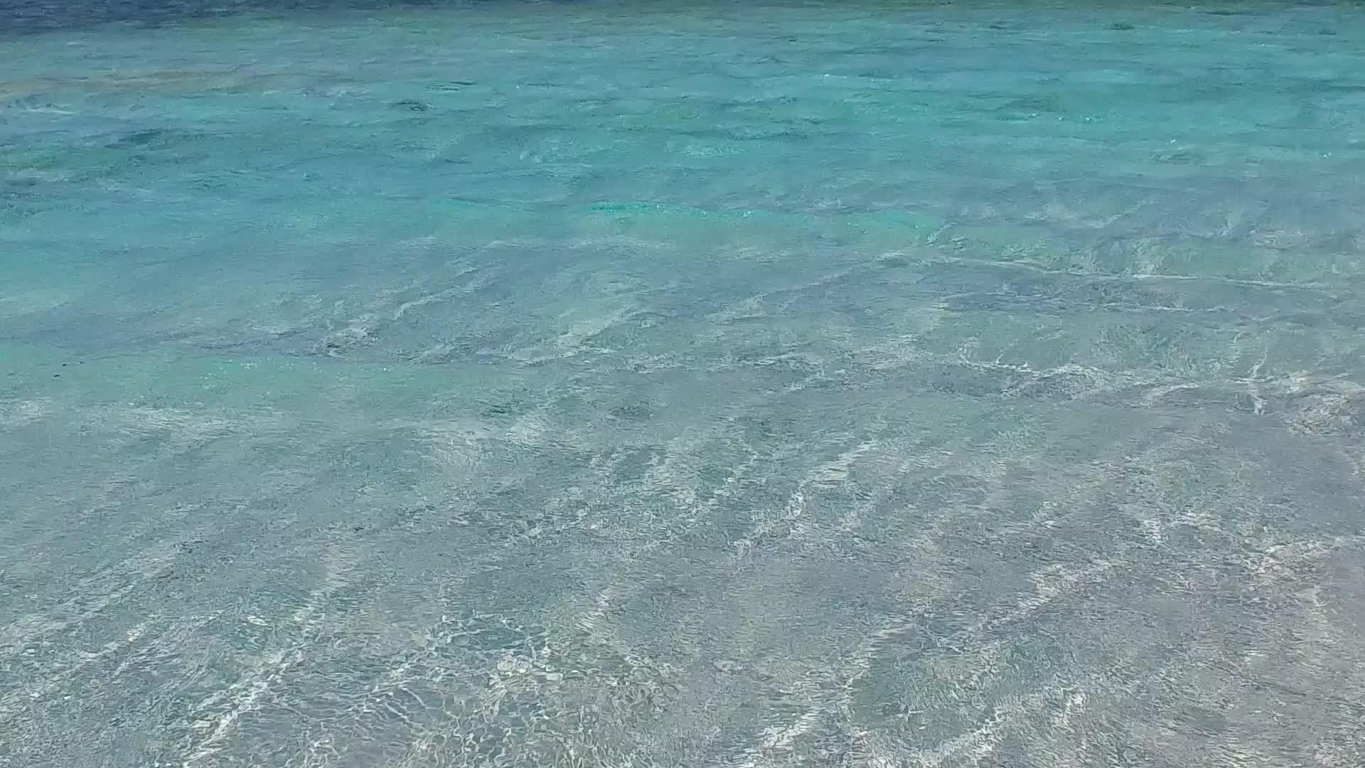 天堂度假胜地海滩探险夏季风景浅海和棕榈树附近的白沙视频的预览图
