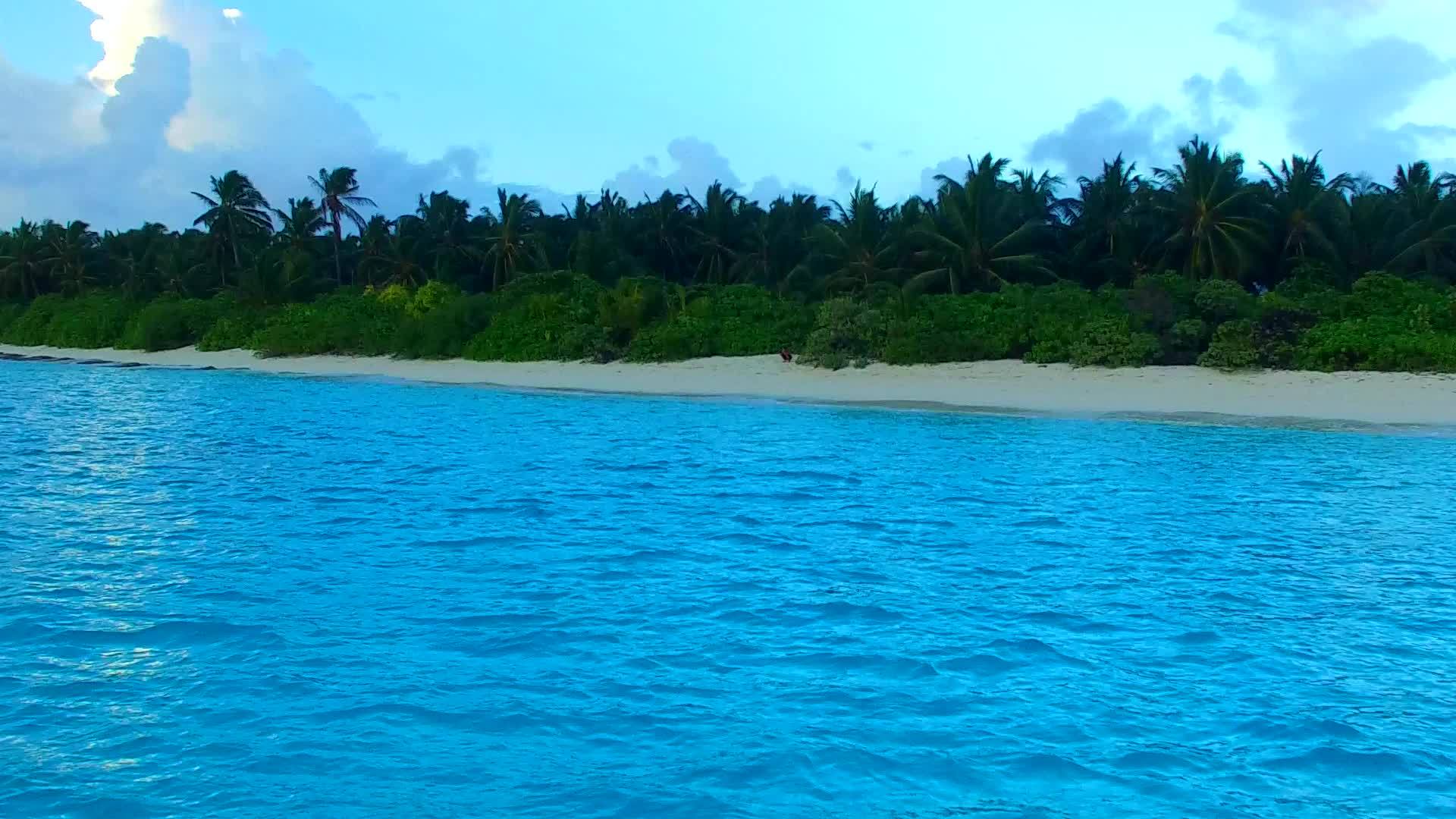 以棕榈树白沙背景下的松绿海为例复制完美的旅游海滩视频的预览图