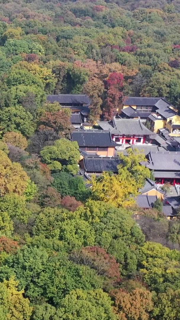 秋天的南京灵谷寺古建筑风景视频的预览图