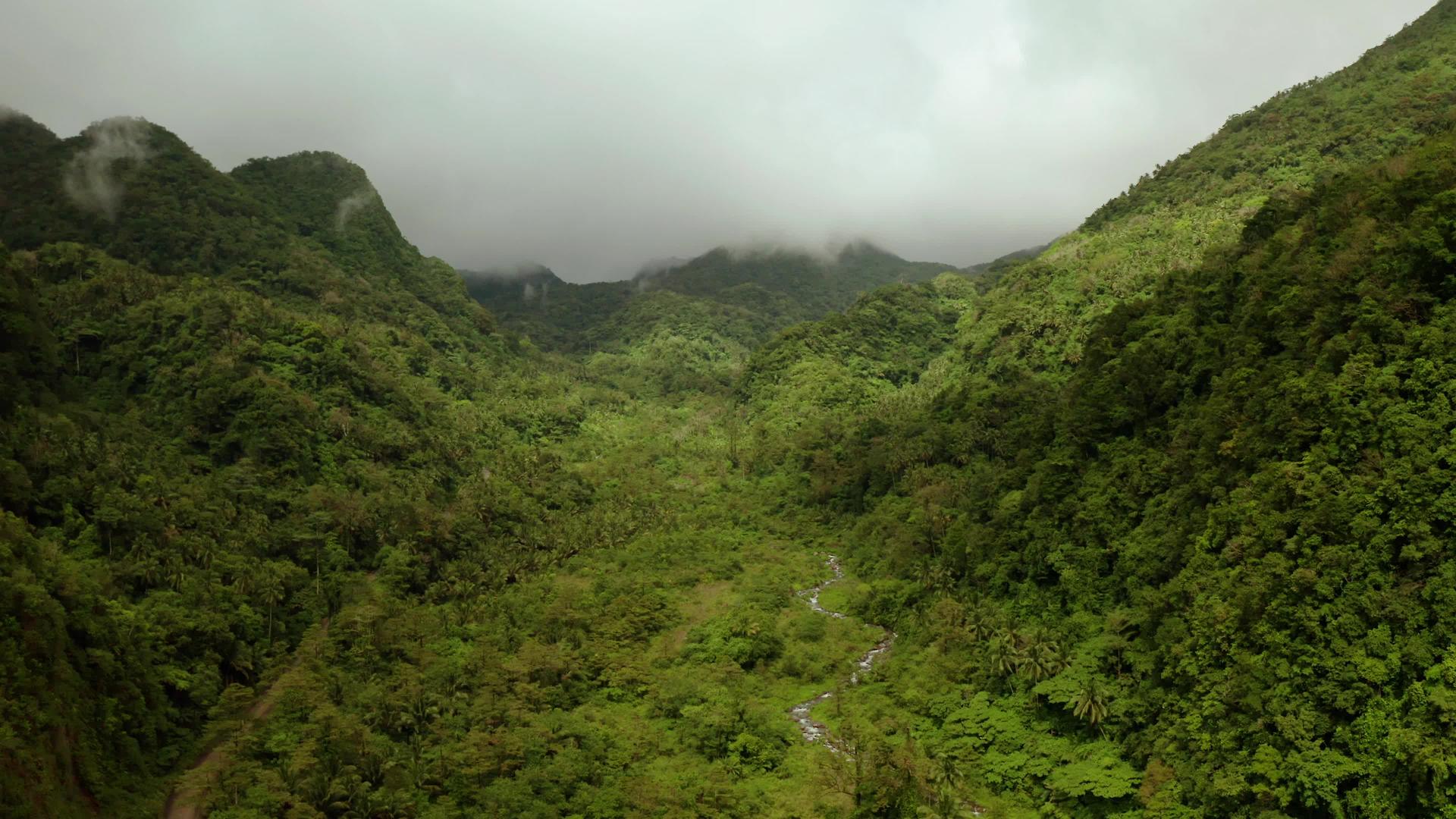 被山覆盖的雨林视频的预览图