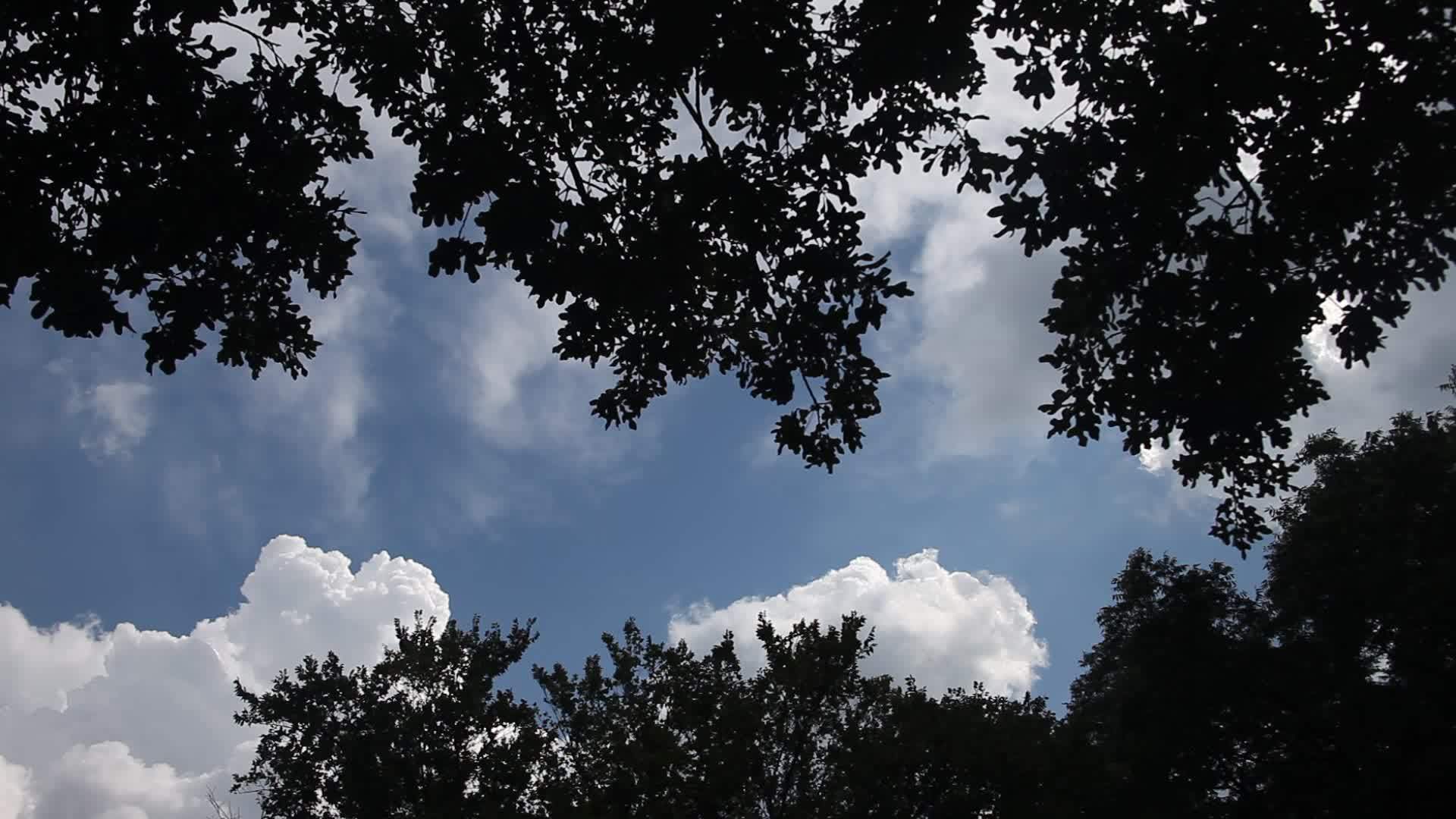 云云天空视频的预览图