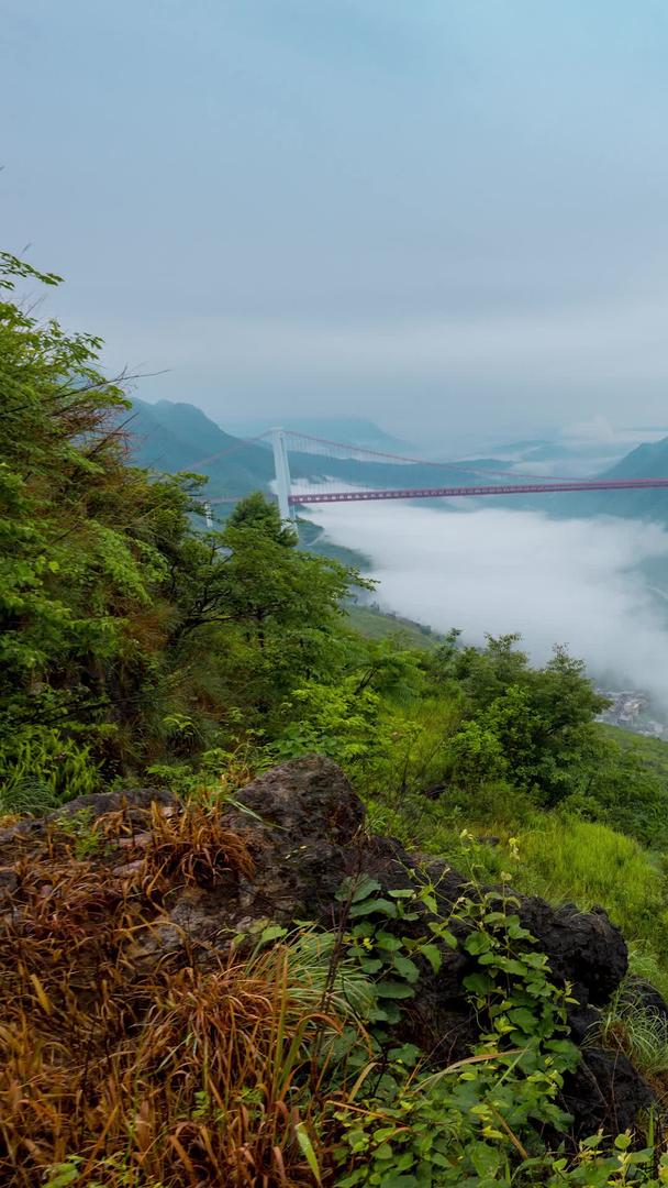 延迟贵州坝陵河大峡谷云海视频的预览图