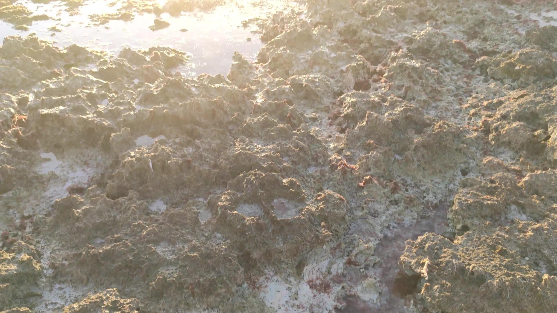 美丽的多明尼西山日落在海面2视频的预览图