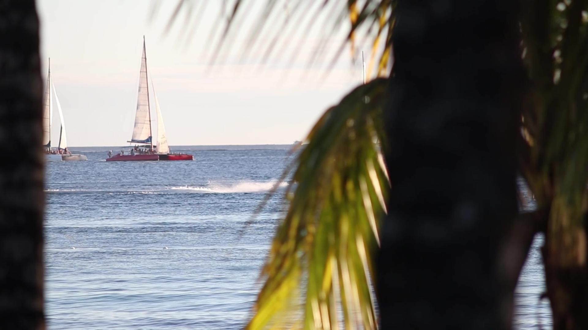 日落4点在加勒比海的海平线上航行视频的预览图