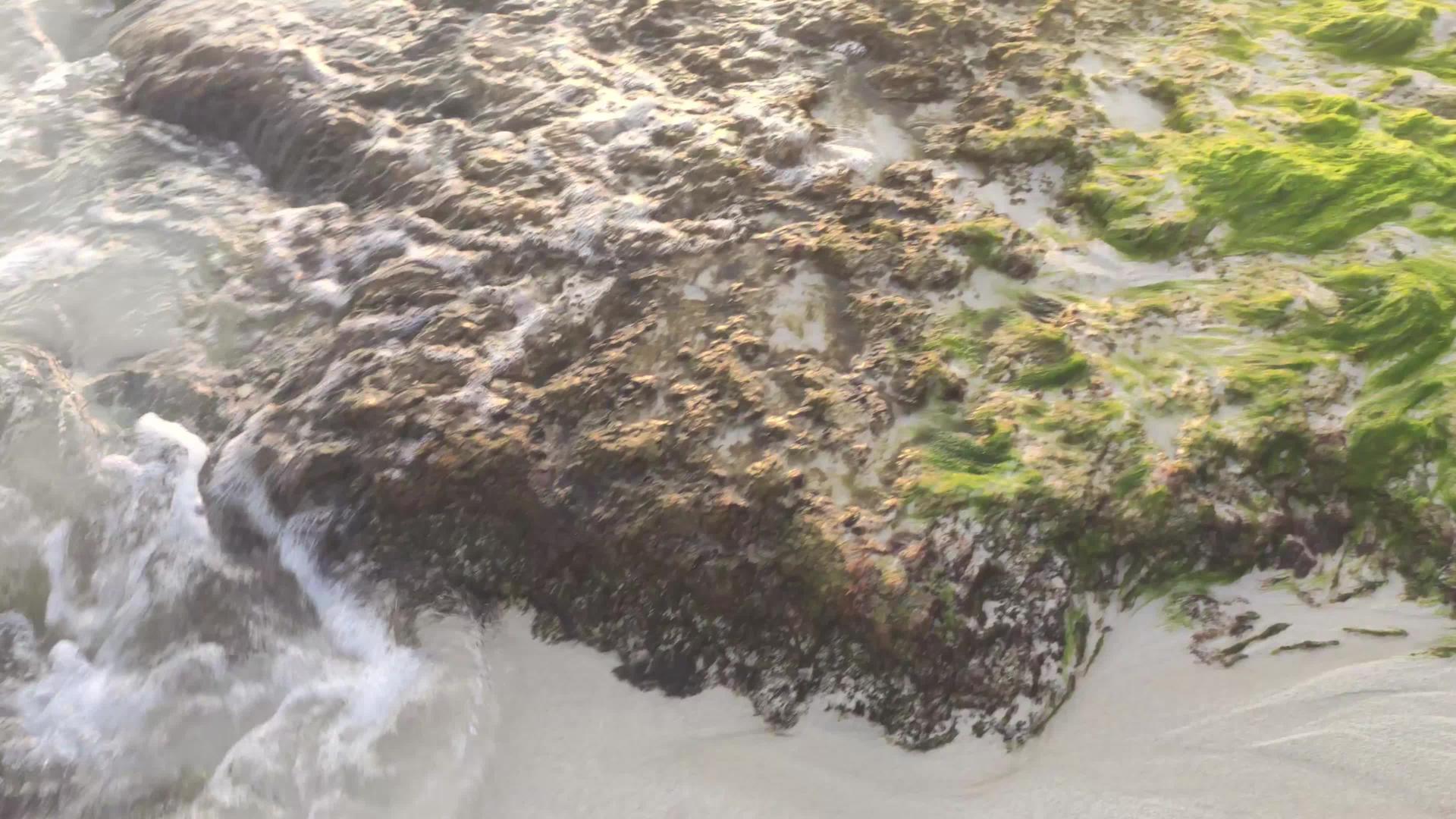 海和海滩3的日落视频的预览图