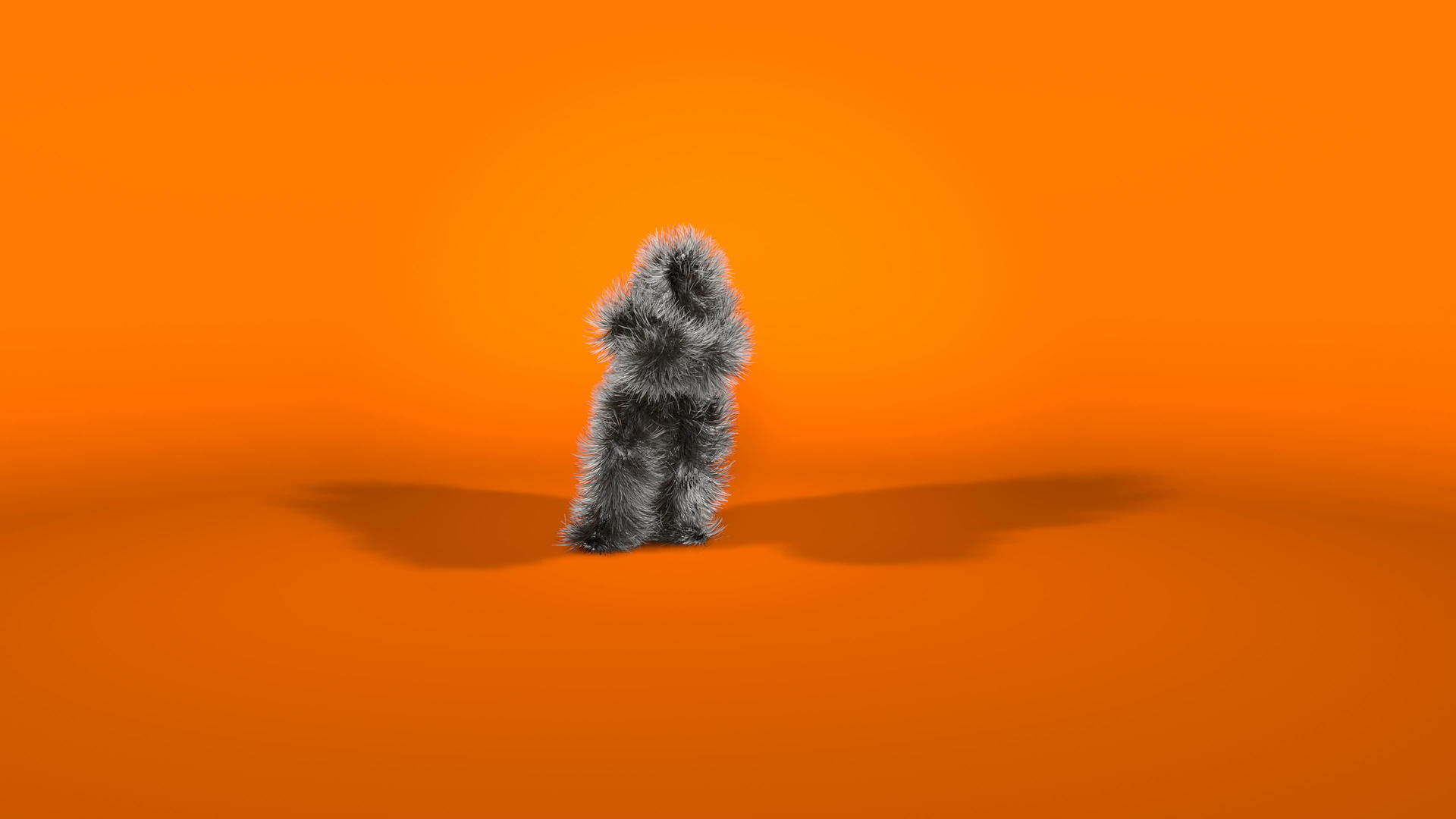 猴子性格的橙色背景Monkey视频的预览图