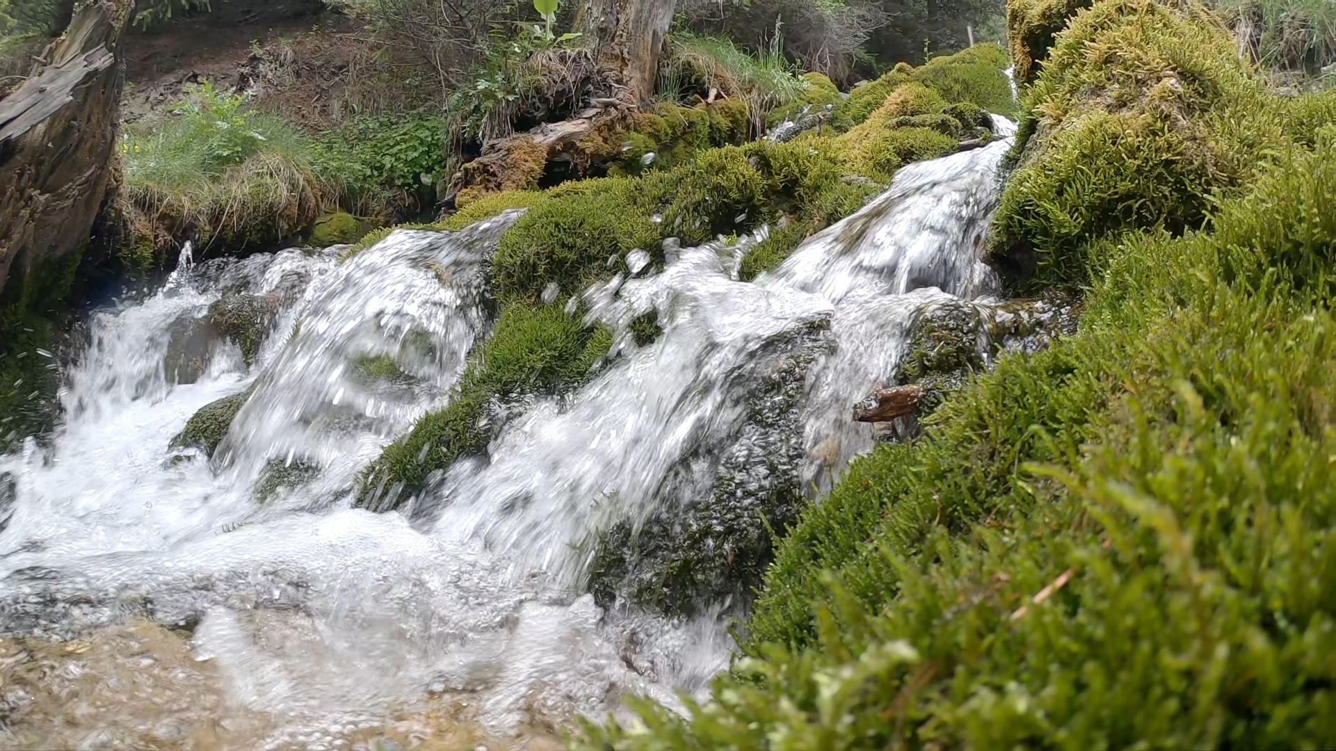 溪流瀑布高速慢动作视频的预览图