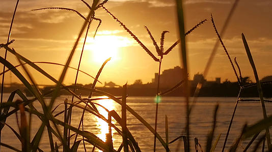 夕阳江边美景4K实拍视频的预览图