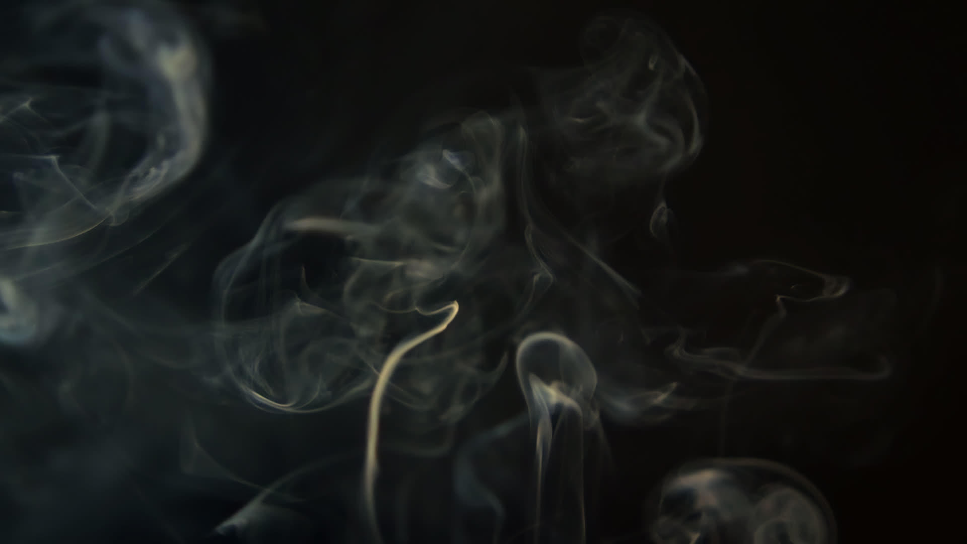 抽象的白烟在黑色背景上视频的预览图