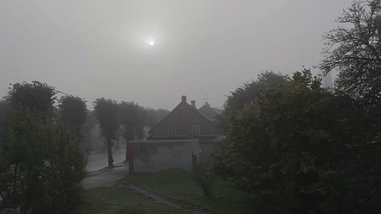 清晨的雾视频的预览图