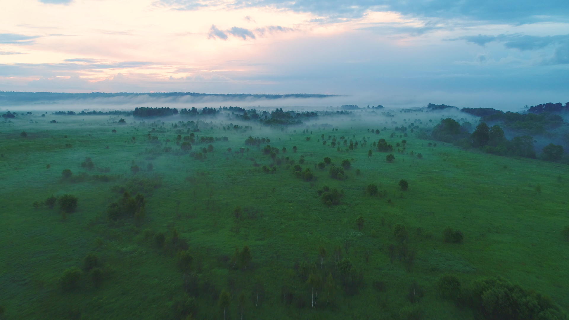 树木在绿地和薄雾中飞翔视频的预览图
