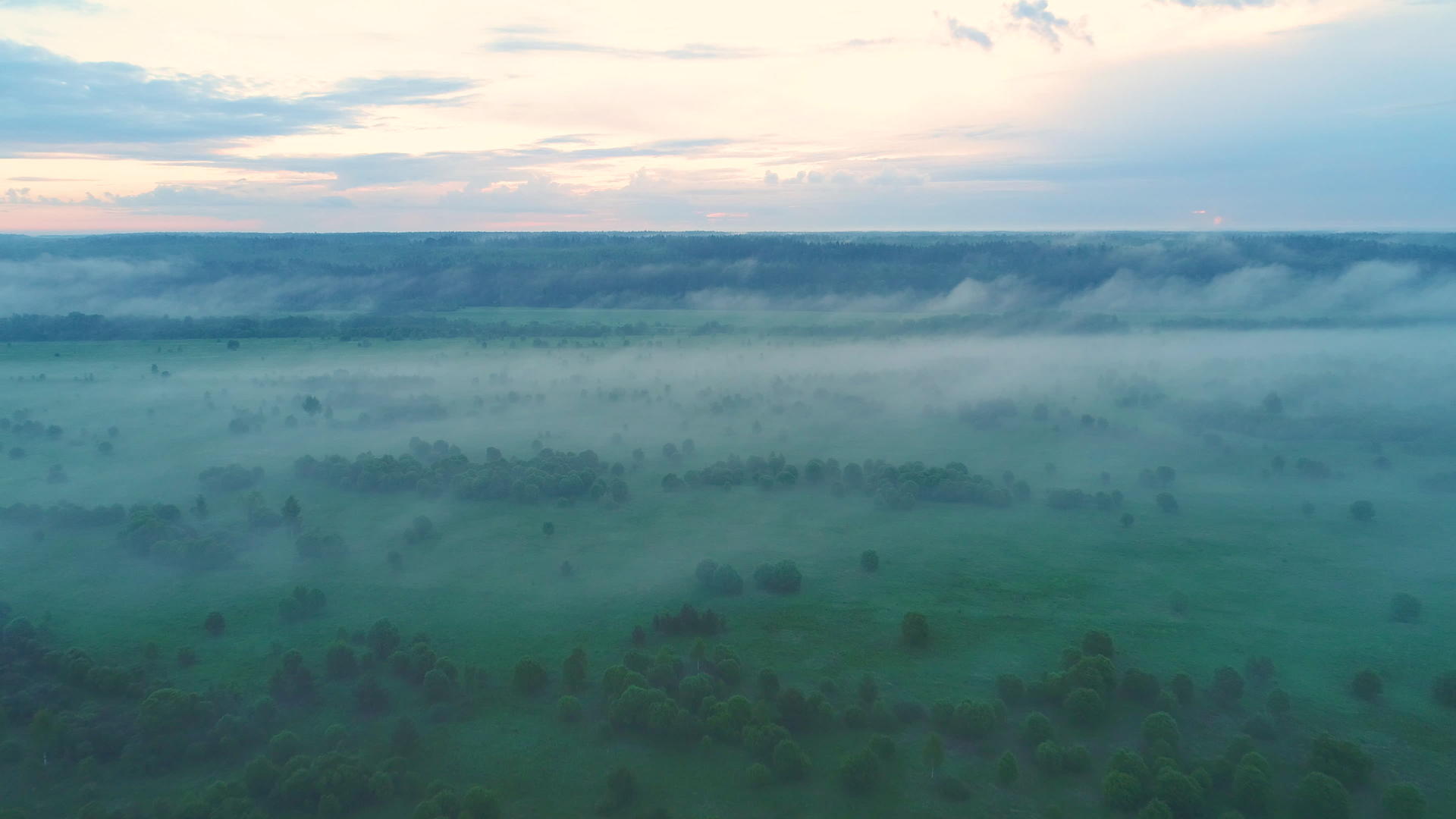 在晨雾中飞过田野和树木视频的预览图