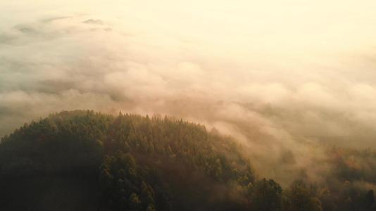 日出时山和树在雾的清晨飞过视频的预览图