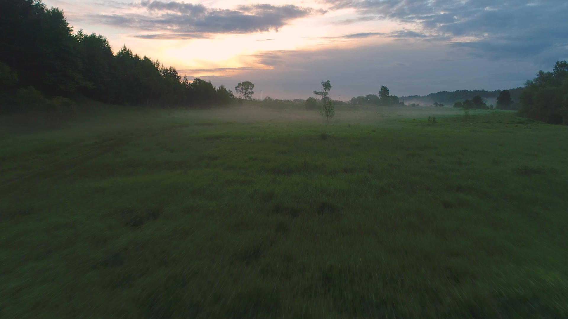在清晨的烟雾中低角飞过绿草视频的预览图