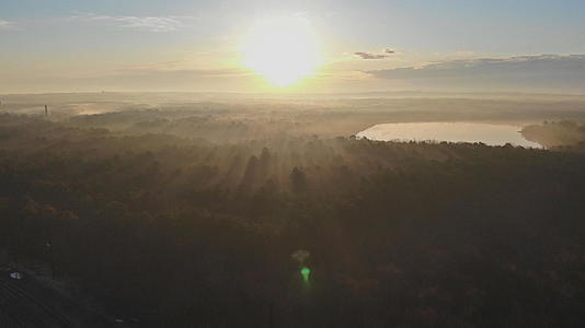 日出时雾鸟在清晨看到雾视频的预览图