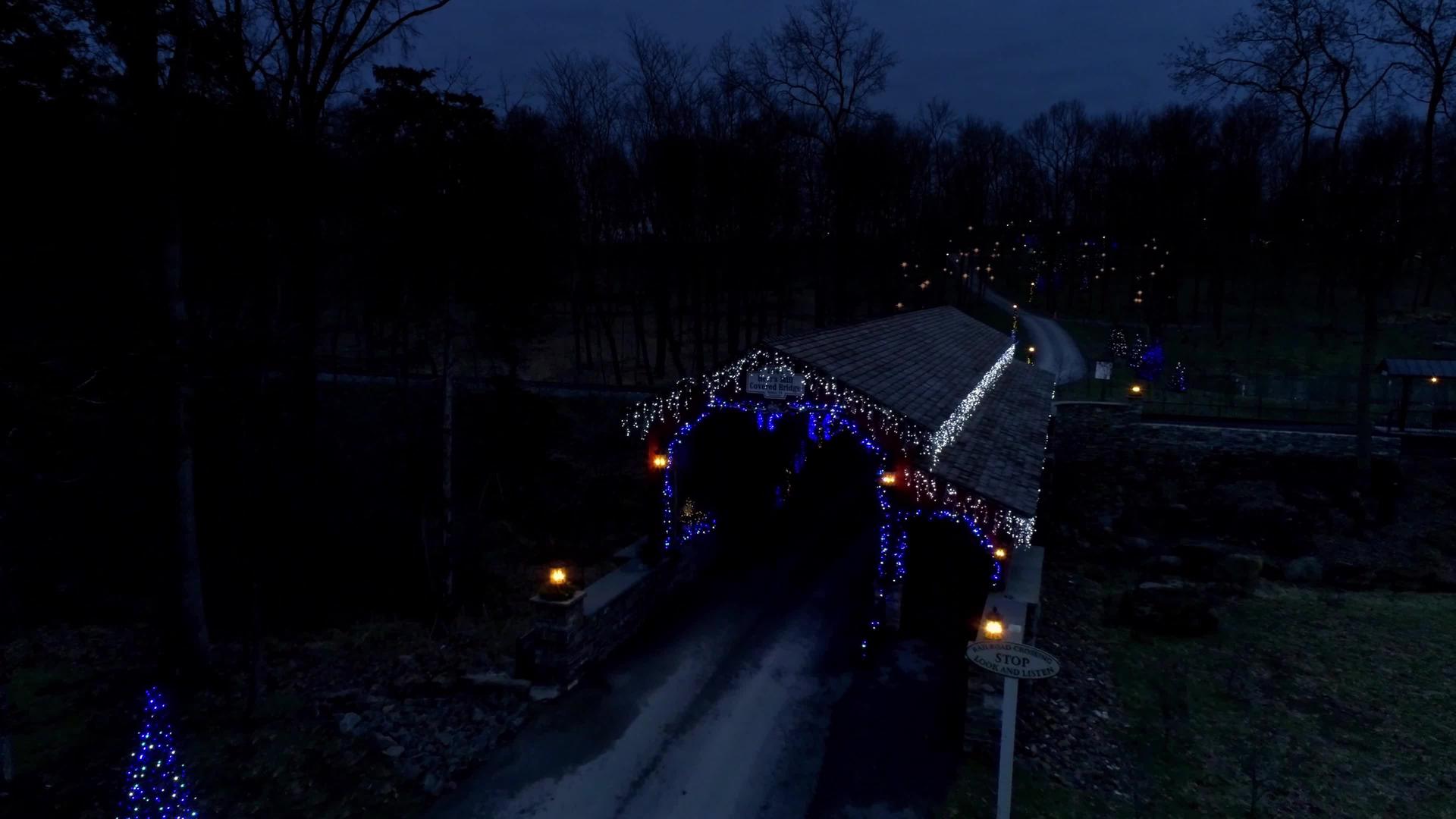 周围的桥和路边展示圣诞风景视频的预览图
