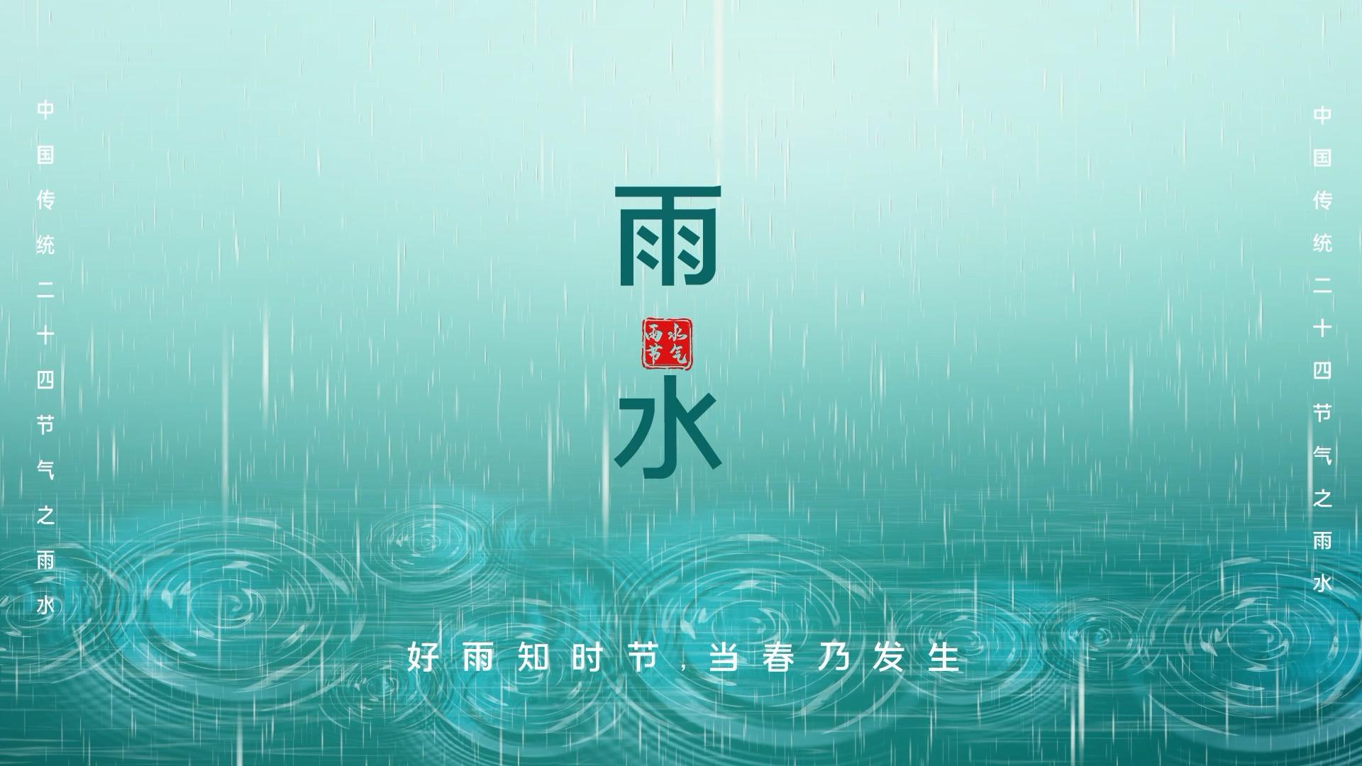 简洁唯美雨水节日节气宣传展示AE模板视频的预览图