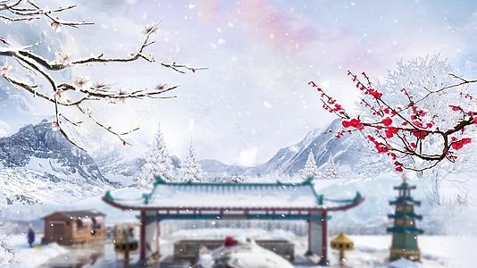 4K中国风大寒冬季红梅花背景视频视频的预览图