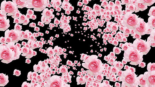 七夕粉色玫瑰爆炸转场视频的预览图