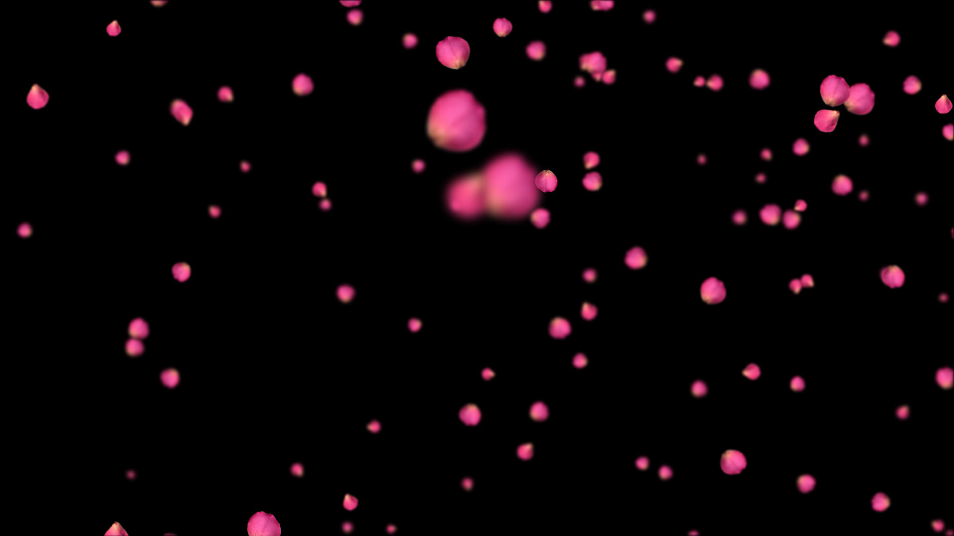 唯美4K桃花飞舞视频素材带通道视频的预览图