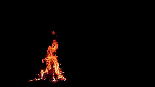 夜间森林野火的黑色背景视频的预览图