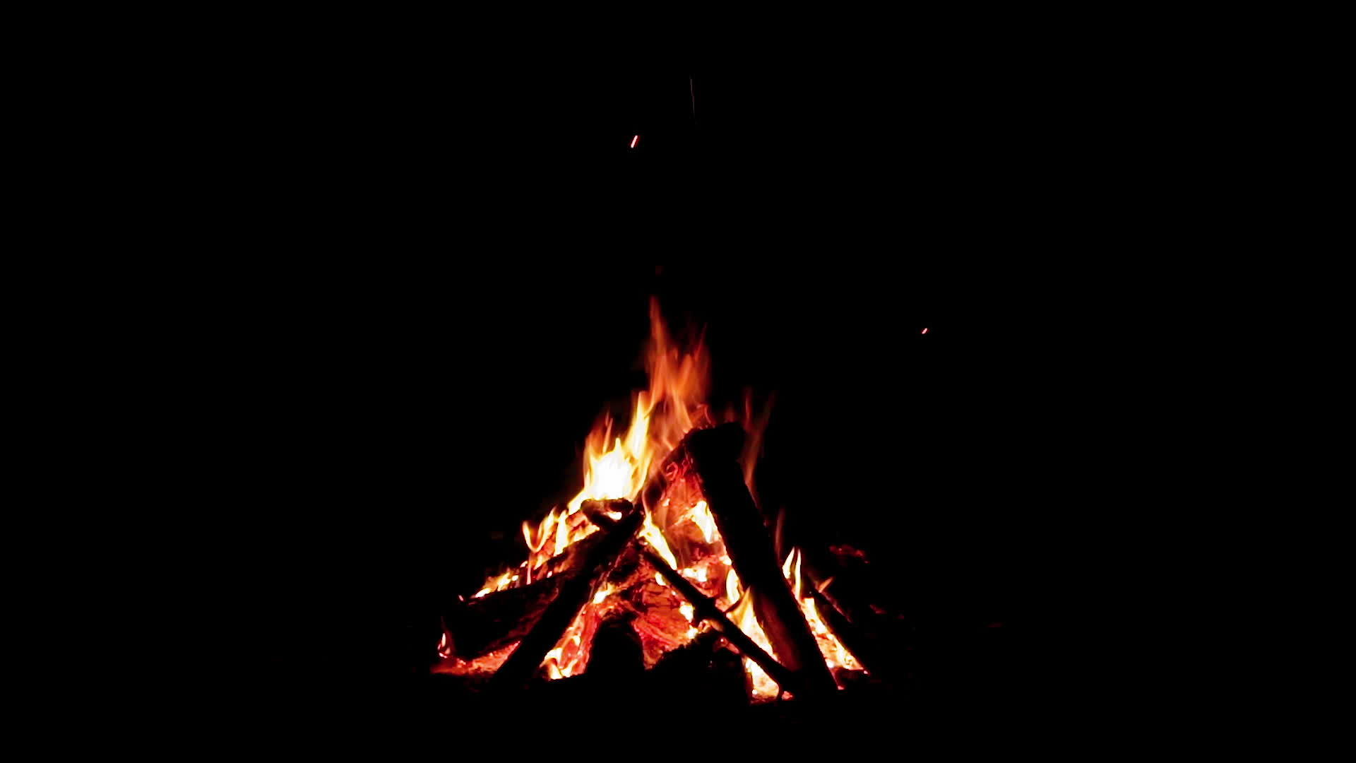 夜间森林野火的黑色背景视频的预览图