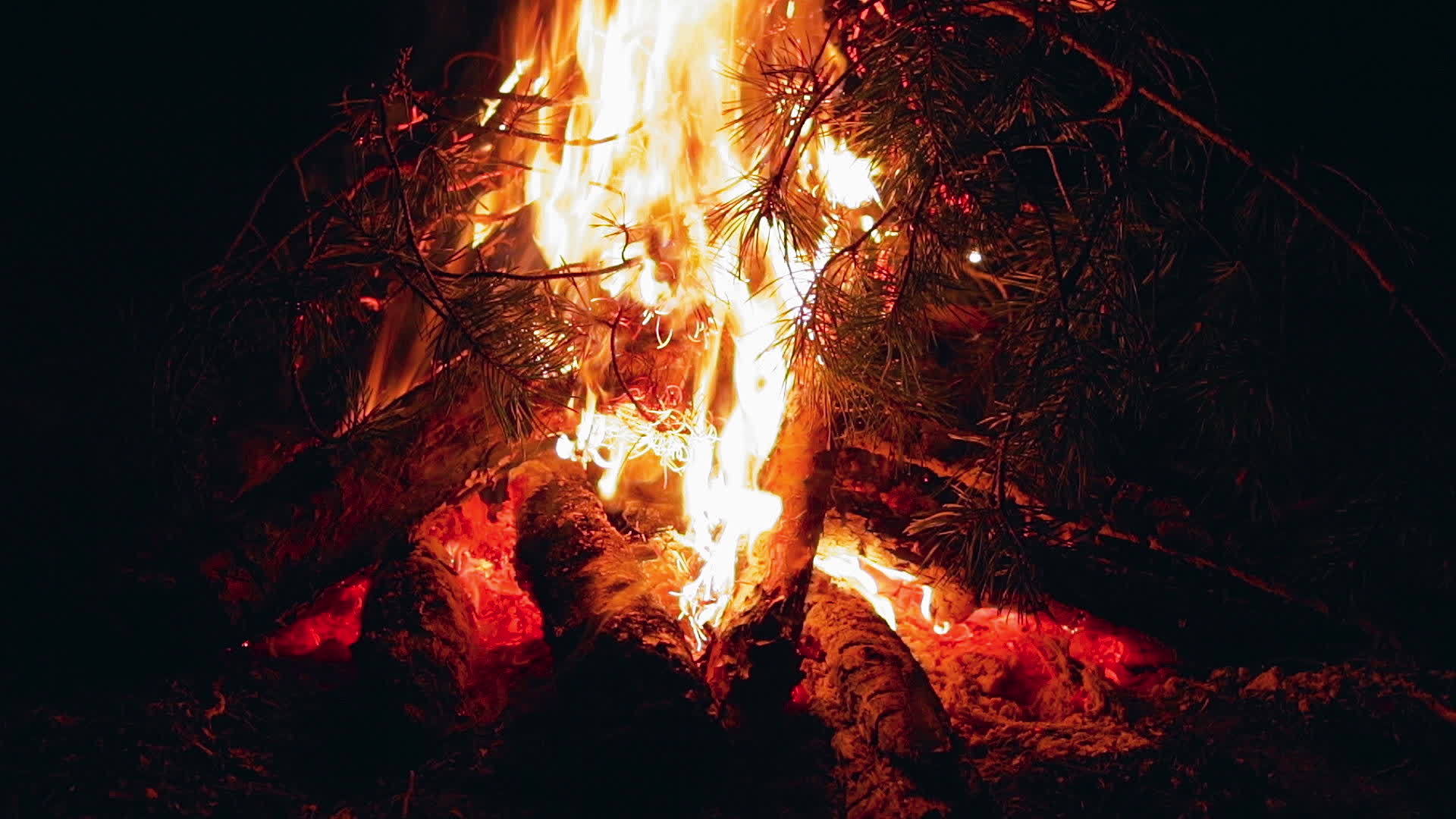 夜间燃烧营火视频的预览图