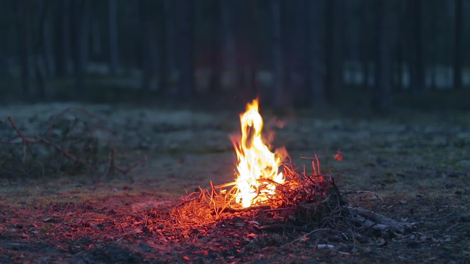 夜间焚烧营火关闭视频的预览图