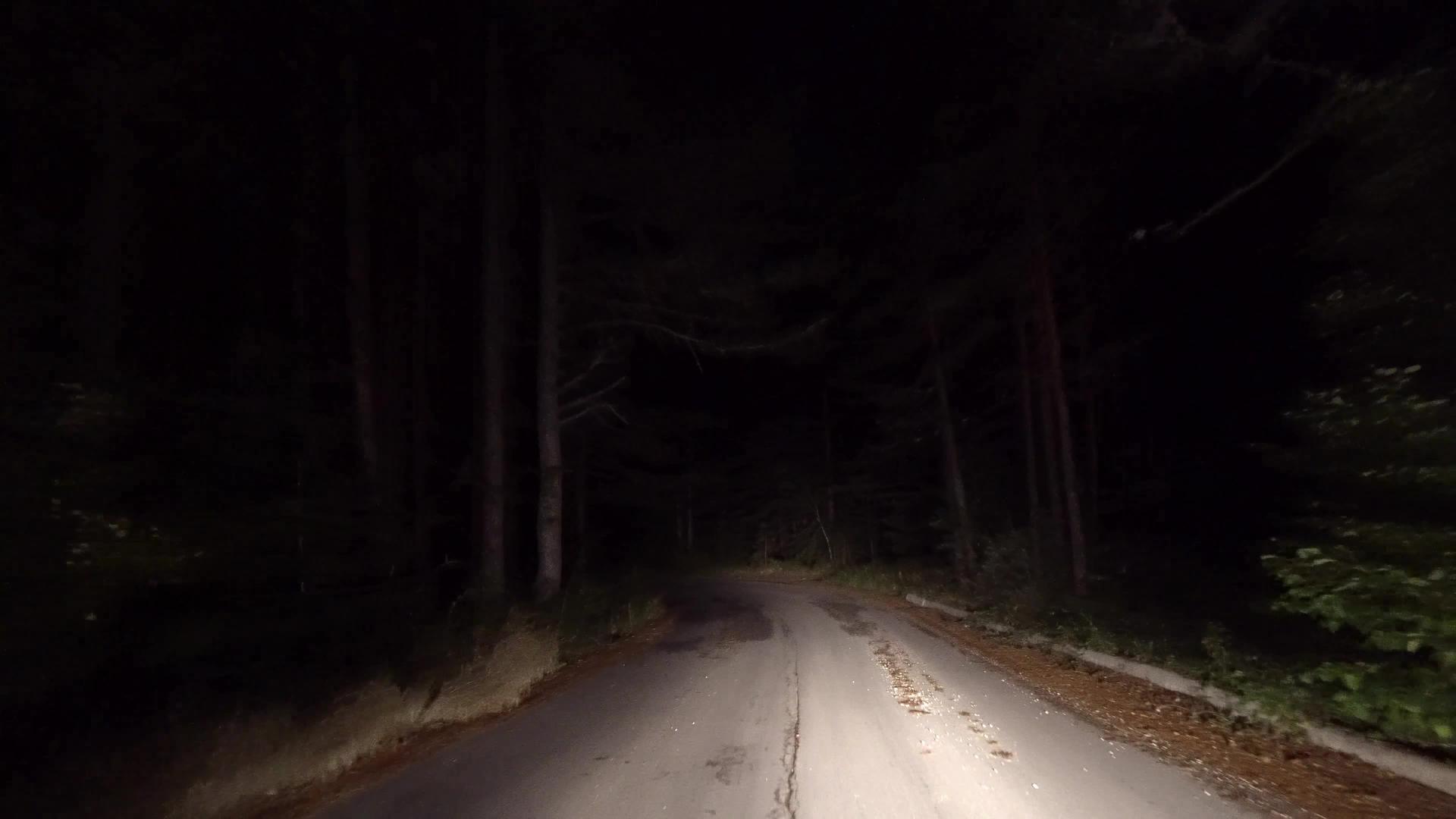 夜间乡村公路第一视角车厢车厢视频的预览图