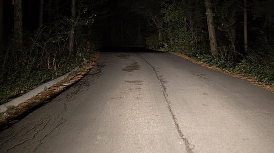 晚上在农村道路上开车穿过森林第一个视角视频的预览图