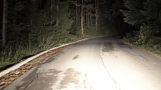 晚上在农村道路上开车穿过森林第一个视角视频的预览图