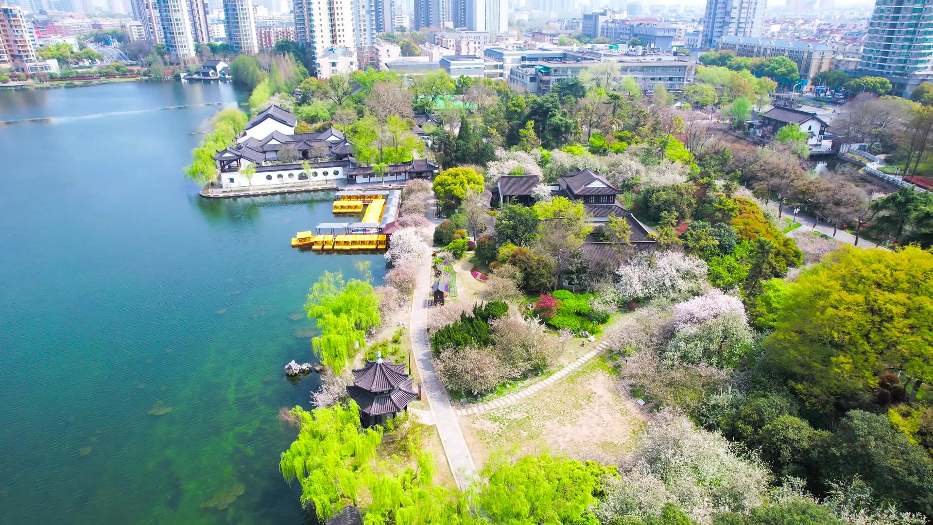 4K航拍春游南京莫愁湖风景海棠盛开视频的预览图