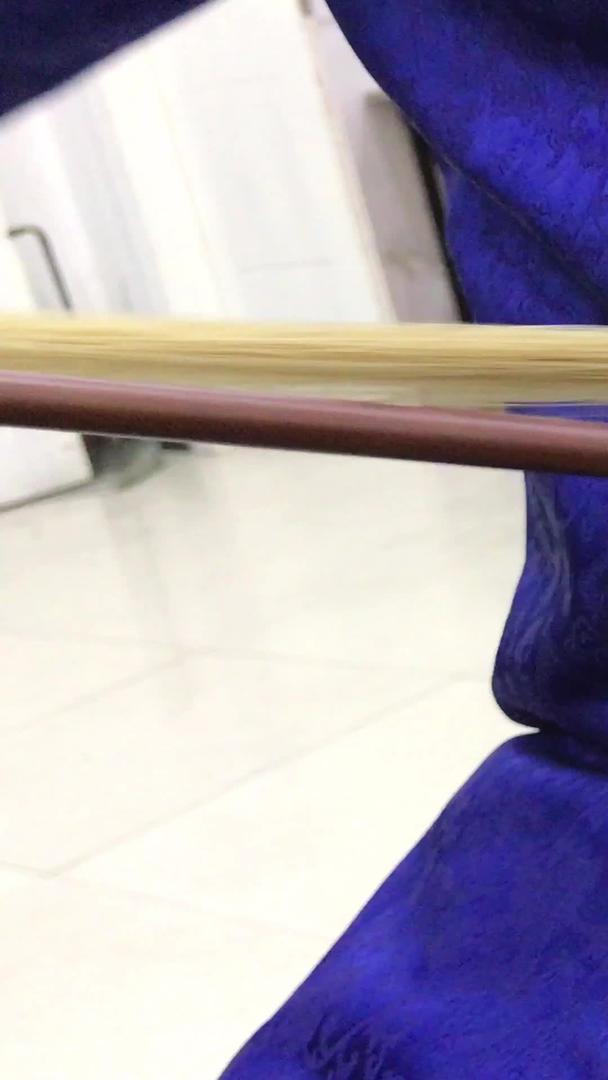 中国风民乐艺术器乐演奏板胡音乐素材视频的预览图