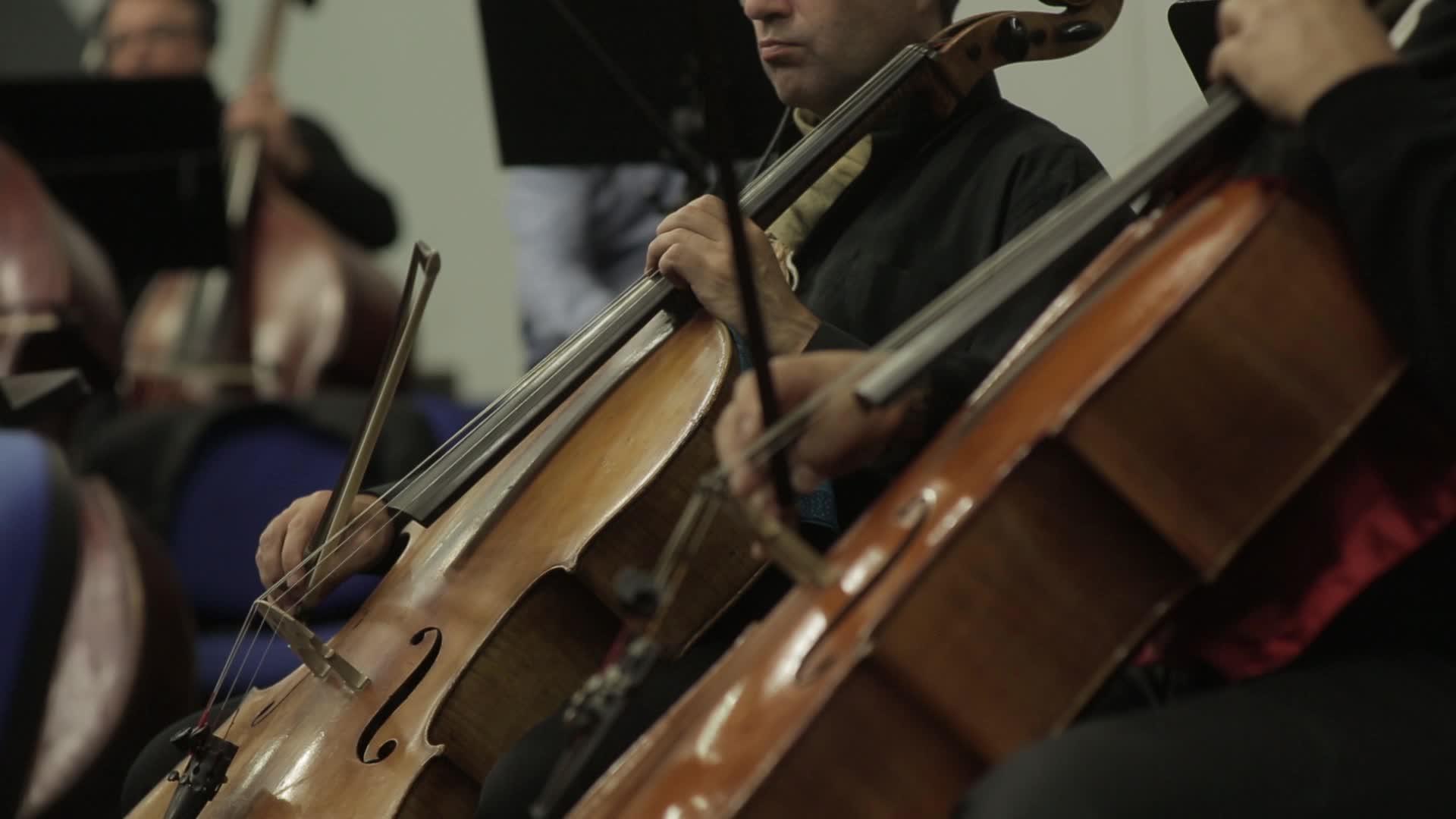 职业男性大提琴手正在演奏大提琴视频的预览图