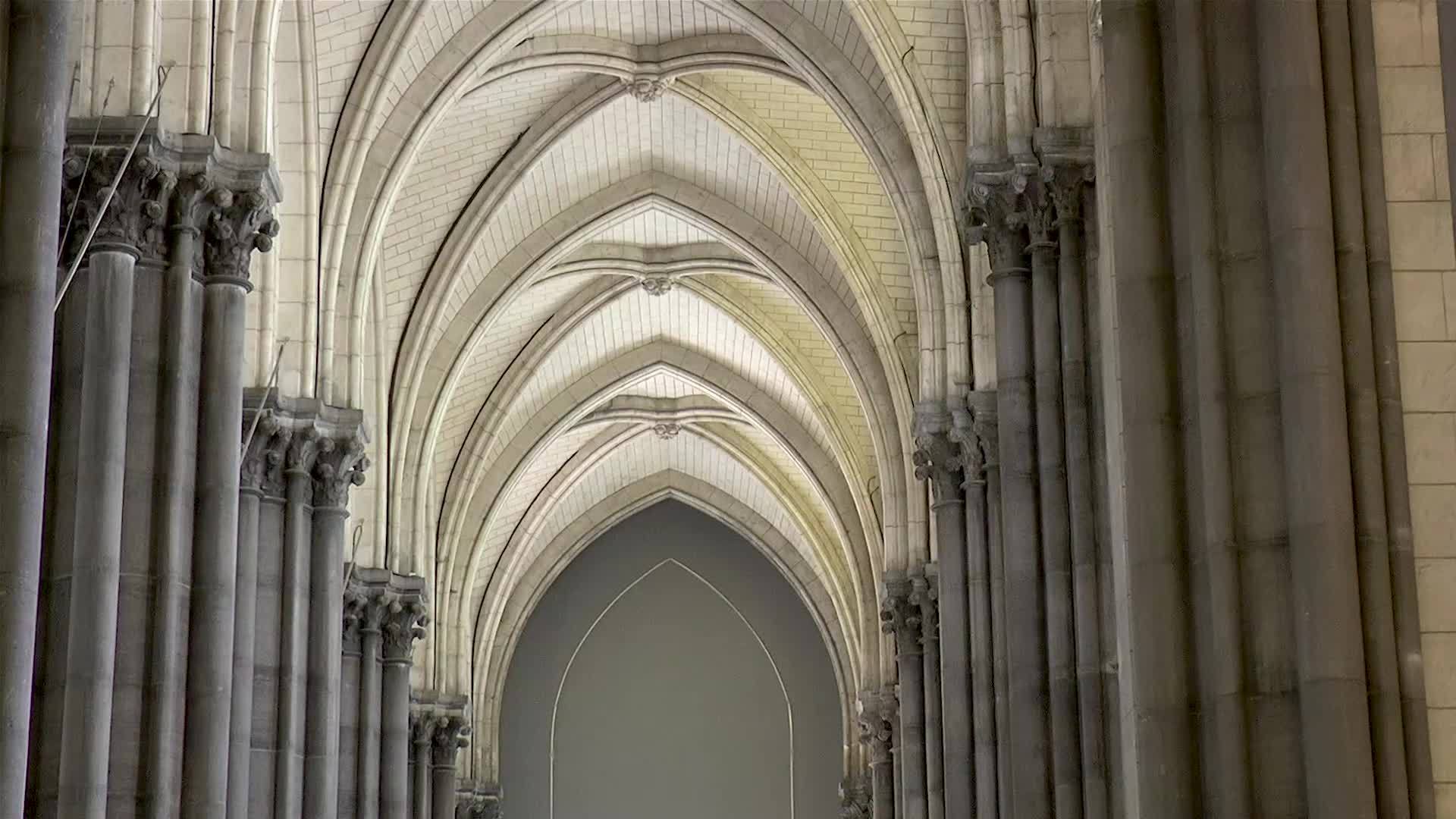 法兰西州的建筑细节Lille大教堂女神视频的预览图