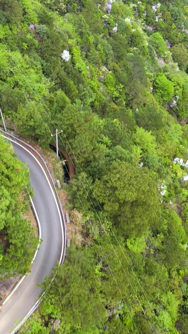 浙江南部山区森林公路山路航拍视频的预览图