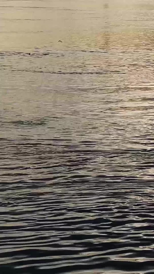 夕阳江河水流实拍视频的预览图