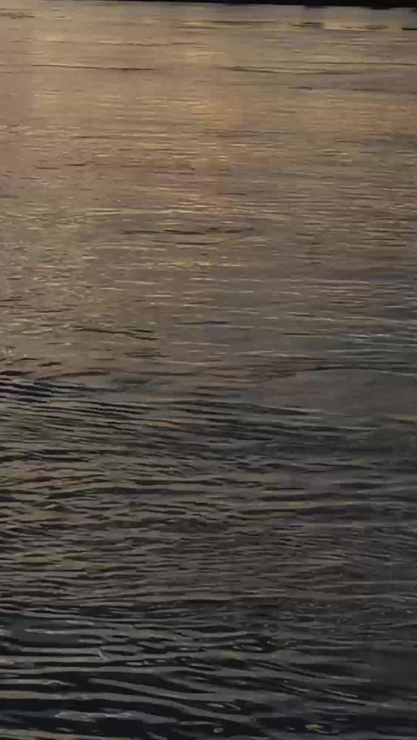 夕阳江河水流实拍视频的预览图