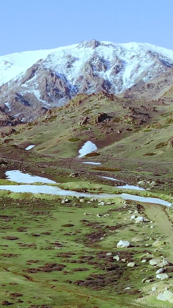 新疆雪山绿地航拍视频的预览图