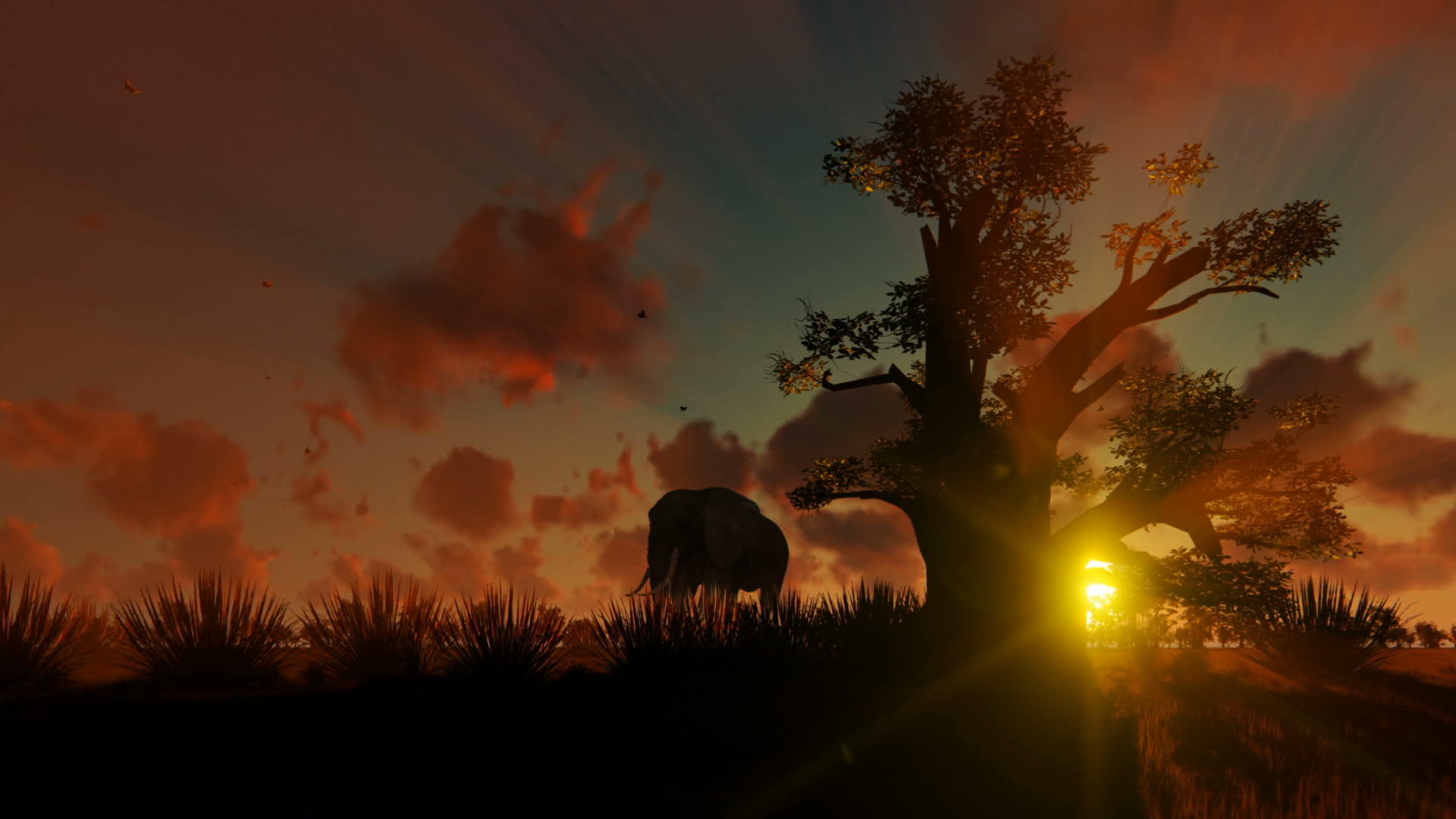 非洲大象在日落中行走视频的预览图