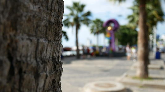 4k人们用棕榈树在沙滩路上慢跑穿着五颜六色的西装视频的预览图