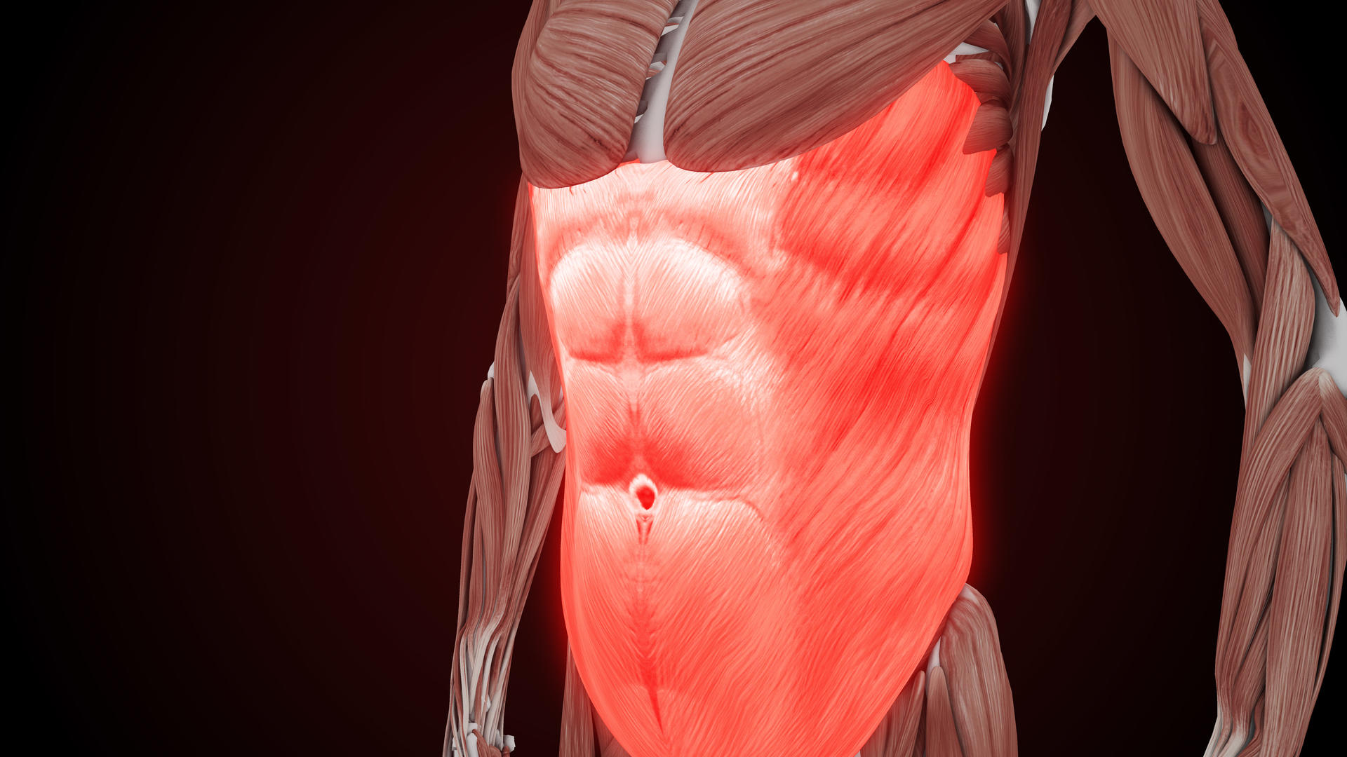 4K人体男性腹肌肌肉展示视频的预览图